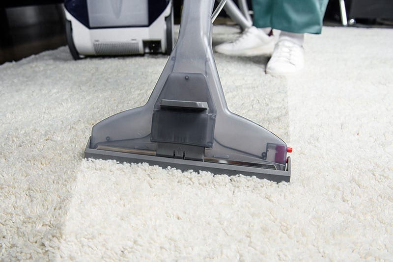 Sonoma County Carpet Cleaning