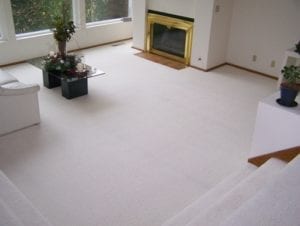 We offer the best carpet cleaning santa rosa ca offers. Also area rug cleaning.