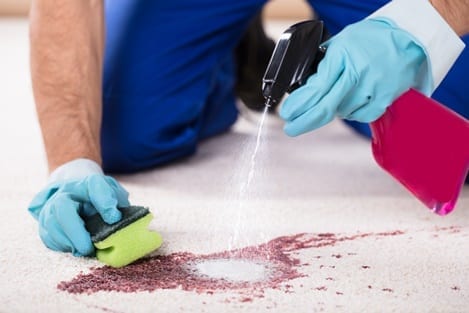 • how to remove stains from carpet